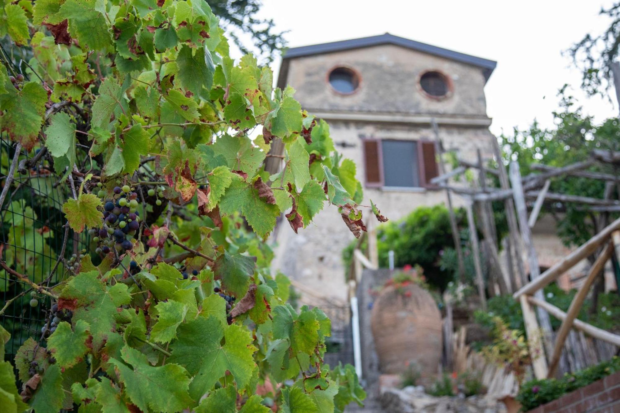 Il Melograno In Costa D'Amalfi - Romantic Experience Vietri Extérieur photo